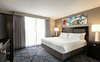 Suite, 1 King Bed