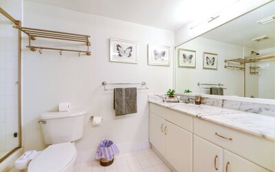 Chic Brickell Condos – Prime Location
