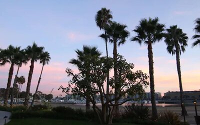 Jamaica Bay Inn Marina Del Rey,Tapestry Collection by Hilton