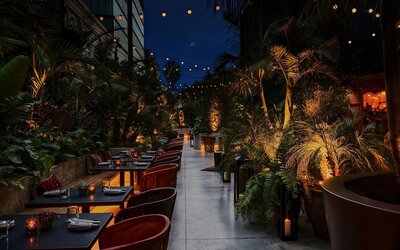 HOLLYWOOD VOLUME, a Tribute Portfolio Hotel