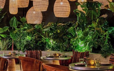 HOLLYWOOD VOLUME, a Tribute Portfolio Hotel