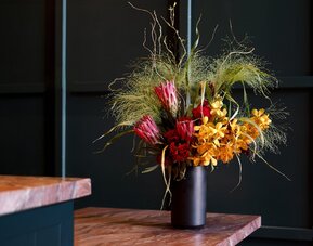 The Aster