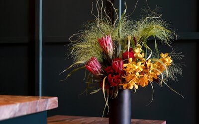The Aster