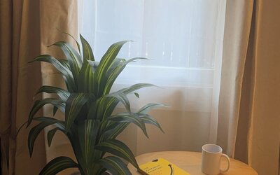 The Coconut Grove Hideaway