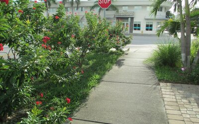 Shalimar Motel