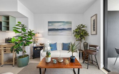 Prime Downtown Location Condos