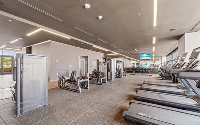 Prime Downtown Location Condos