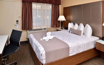Best Western Hollywood Plaza Hotel - Walk of Fame Film City LA