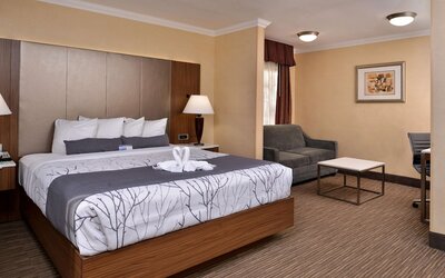 Best Western Hollywood Plaza Hotel - Walk of Fame Film City LA