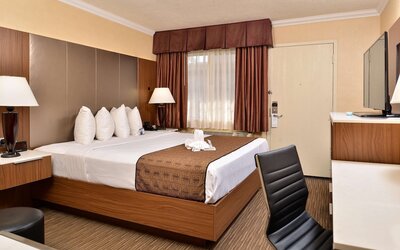 Best Western Hollywood Plaza Hotel - Walk of Fame Film City LA
