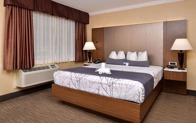 Best Western Hollywood Plaza Hotel - Walk of Fame Film City LA