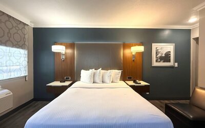 Best Western Hollywood Plaza Hotel - Walk of Fame Film City LA