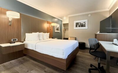 Best Western Hollywood Plaza Hotel - Walk of Fame Film City LA