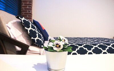 The Haas, Trademark Collection by Wyndham