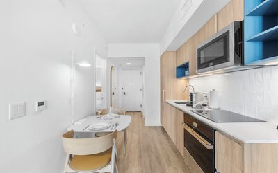Luxury Condos in Downtown Miami