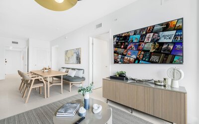Luxury Condos in Downtown Miami