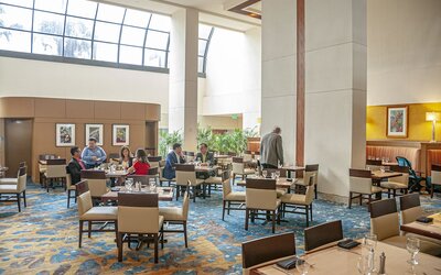Hilton Miami Airport Blue Lagoon