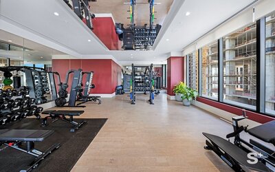 Brand-New Luxury 1BR  - Rooftop pool