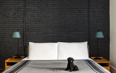Ace Hotel New York
