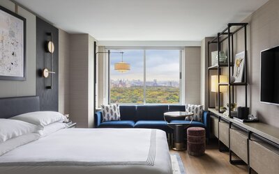 Thompson Central Park New York, by Hyatt