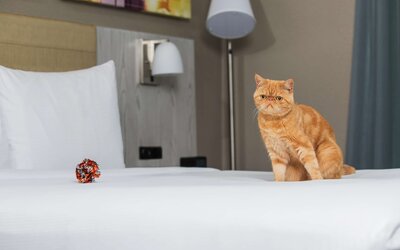 DoubleTree by Hilton New York Times Square West