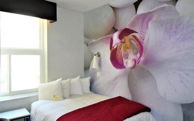 The O Hotel, Trademark Collection by Wyndham