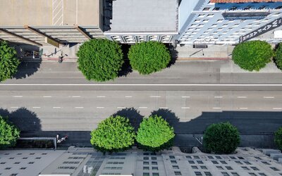 The O Hotel, Trademark Collection by Wyndham