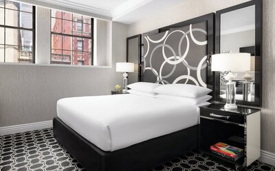 The Muse New York
