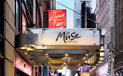 The Muse New York