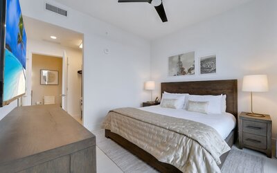 IONICA RESIDENCES at 601 NE CONDO