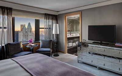 The Towers at Lotte New York Palace