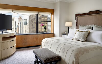 The Towers at Lotte New York Palace