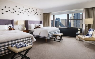 The Towers at Lotte New York Palace