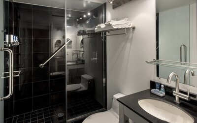 Four Points by Sheraton Manhattan SoHo Village
