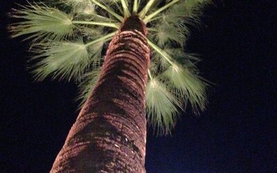 Beverly Laurel Hotel at West Hollywood