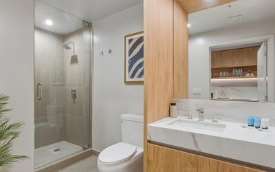 Amazing condo Downtown Miami