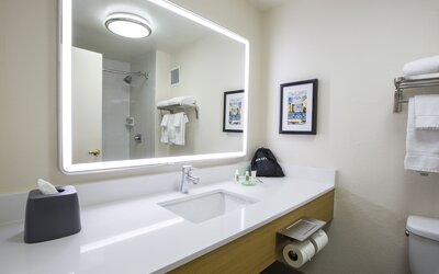 Holiday Inn & Suites Chicago North Shore (Skokie) by IHG