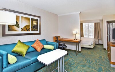 SpringHill Suites by Marriott Chicago Southwest at Burr Ridge/Hinsdale