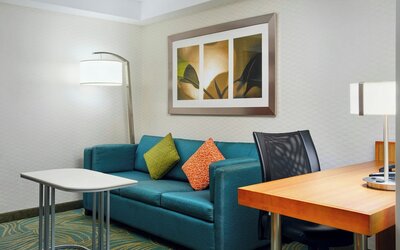 SpringHill Suites by Marriott Chicago Southwest at Burr Ridge/Hinsdale