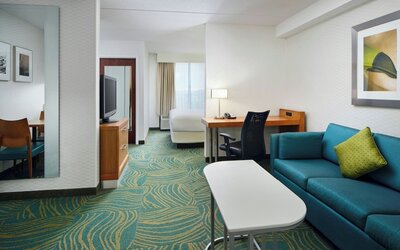 SpringHill Suites by Marriott Chicago Southwest at Burr Ridge/Hinsdale