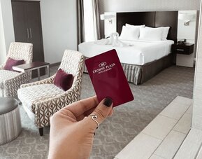 Crowne Plaza Chicago SW - Burr Ridge by IHG