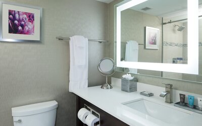Crowne Plaza Chicago SW - Burr Ridge by IHG