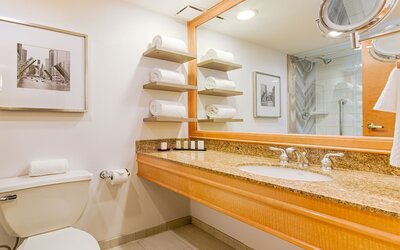 Embassy Suites by Hilton Chicago O'Hare Rosemont