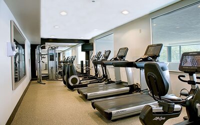 Embassy Suites by Hilton Chicago O'Hare Rosemont