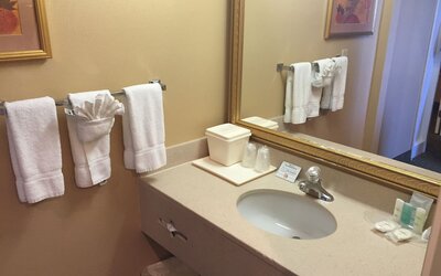 Comfort Suites Oakbrook Terrace near Oakbrook Center