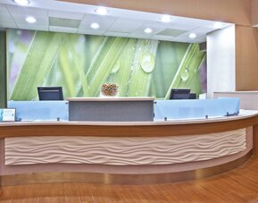Springhill Suites by Marriott Chicago Elmhurst/Oakbrook Area