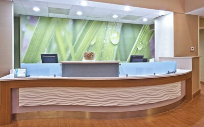 Springhill Suites by Marriott Chicago Elmhurst/Oakbrook Area