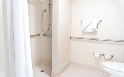 Springhill Suites by Marriott Chicago Elmhurst/Oakbrook Area