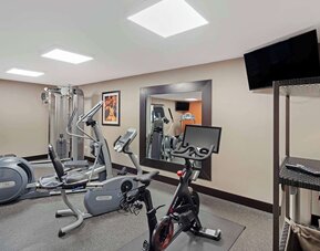 Best Western Plus Chicagoland - Countryside