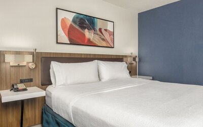 Hilton Garden Inn Chicago / Oak Brook